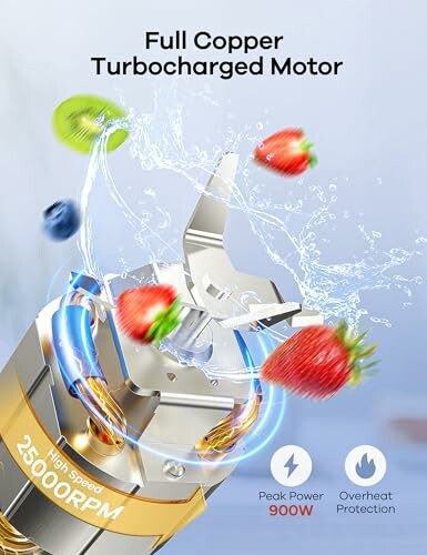 Ganiza Portable Blender